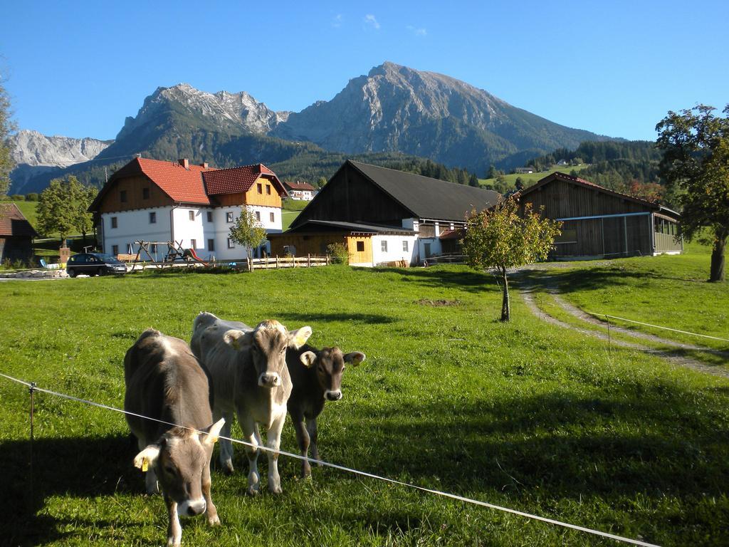 Вилла Bio-Urlaubshof Dansbach Шпиталь-ам-Пихрн Экстерьер фото
